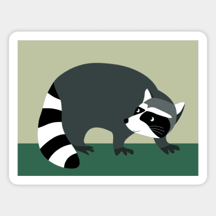 Rocky Raccoon Magnet